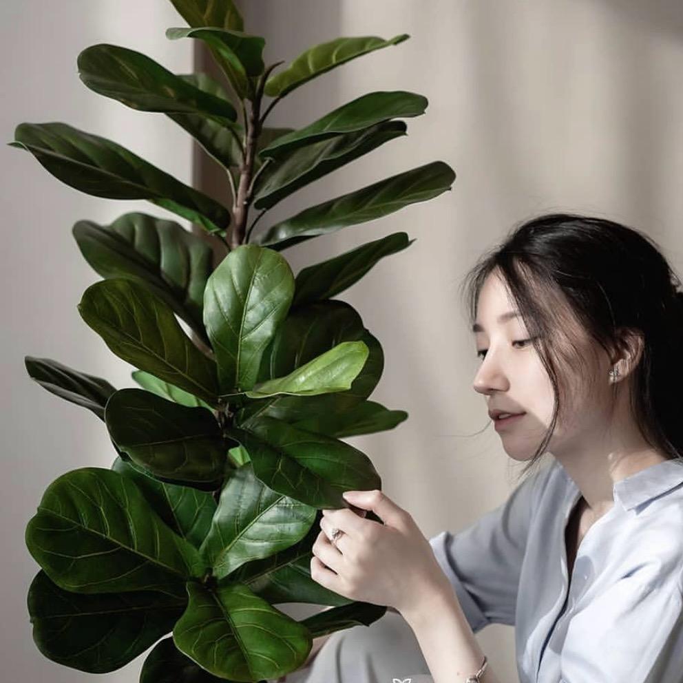 溪林微景观花园