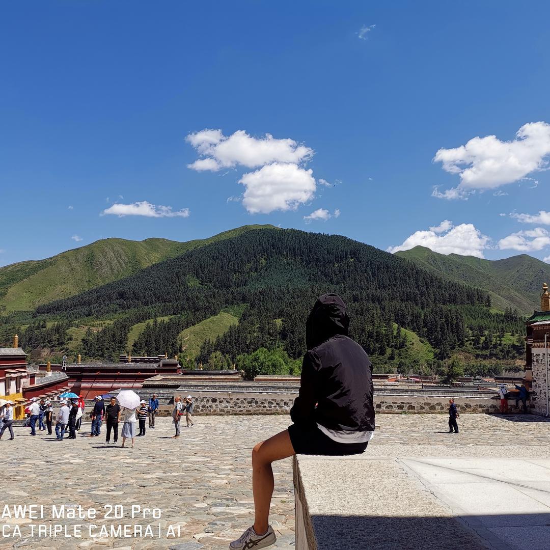 武威嘉硕总经理-韩志强