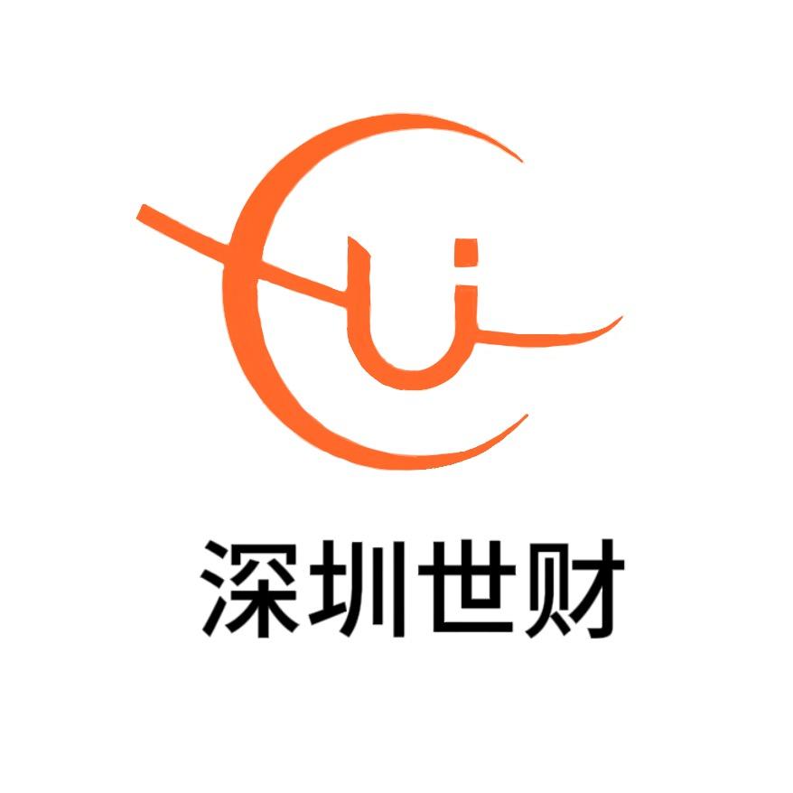 深圳市世财财务管理有限公司