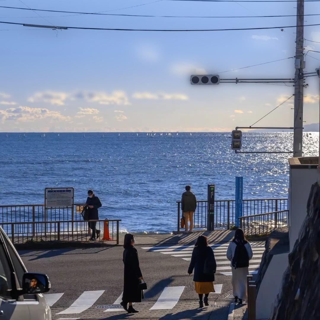 倦了（三角洲代肝）