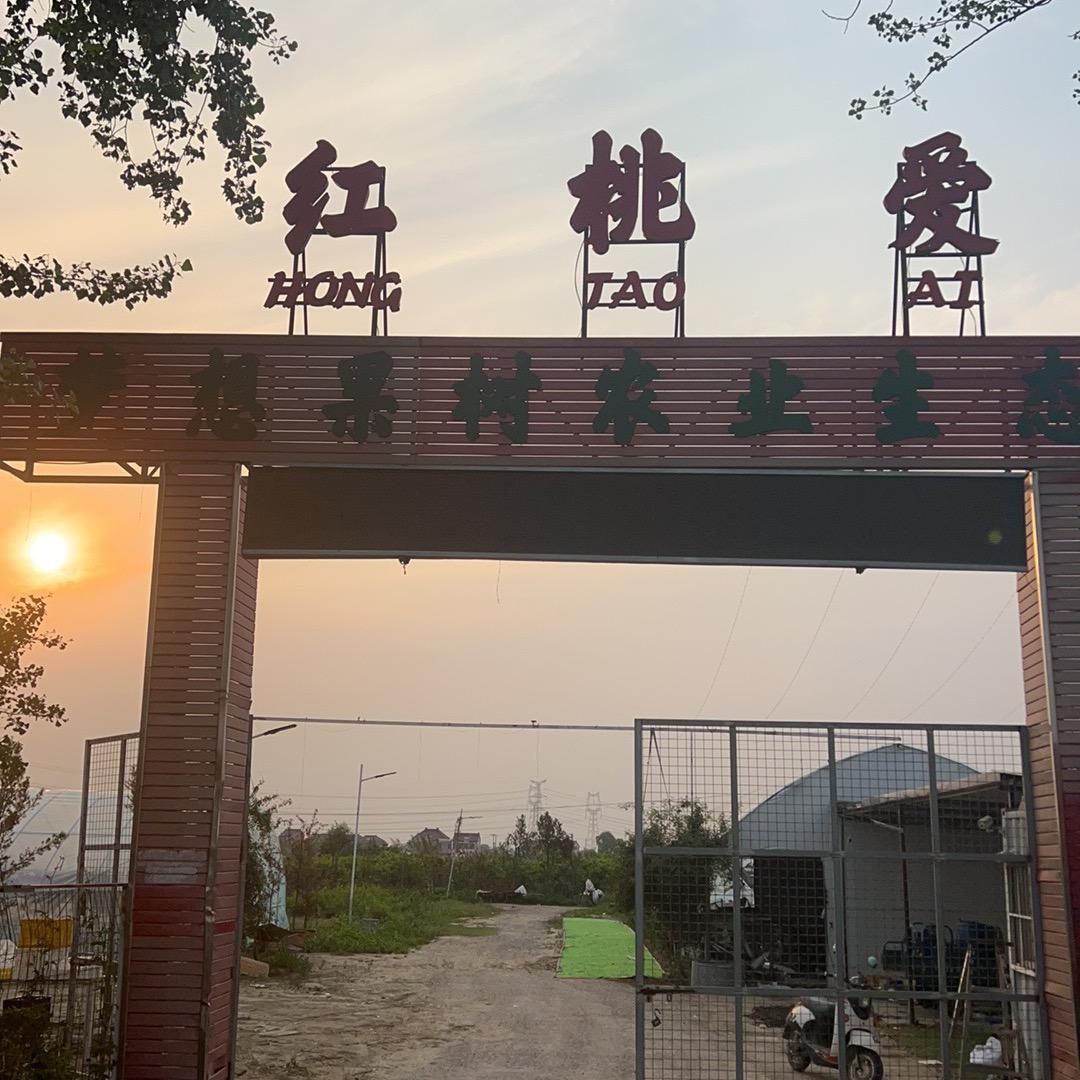 红桃爱农业生态园（姜堰）