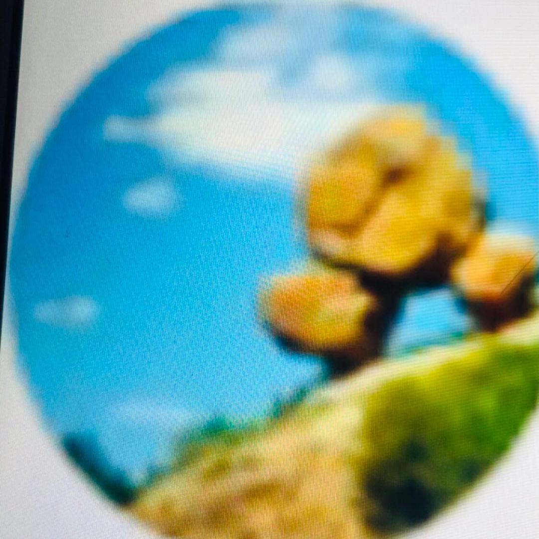 蔷薇之恋