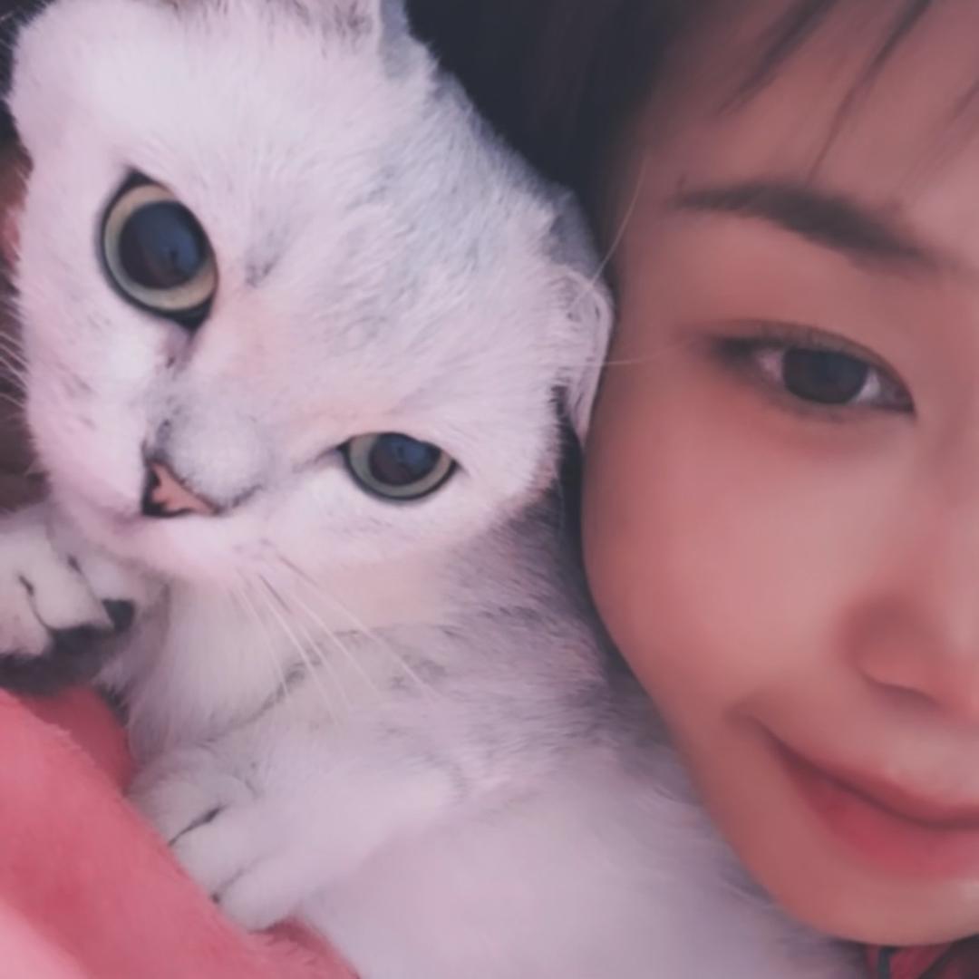 小财迷(猫猫🐱)