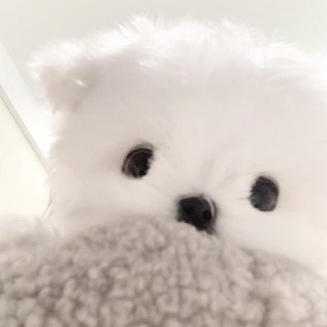 我女朋友很可爱