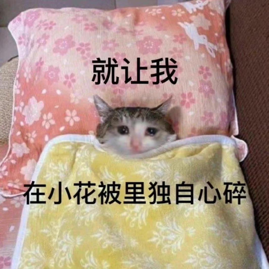 笨蛋总是掉眼泪