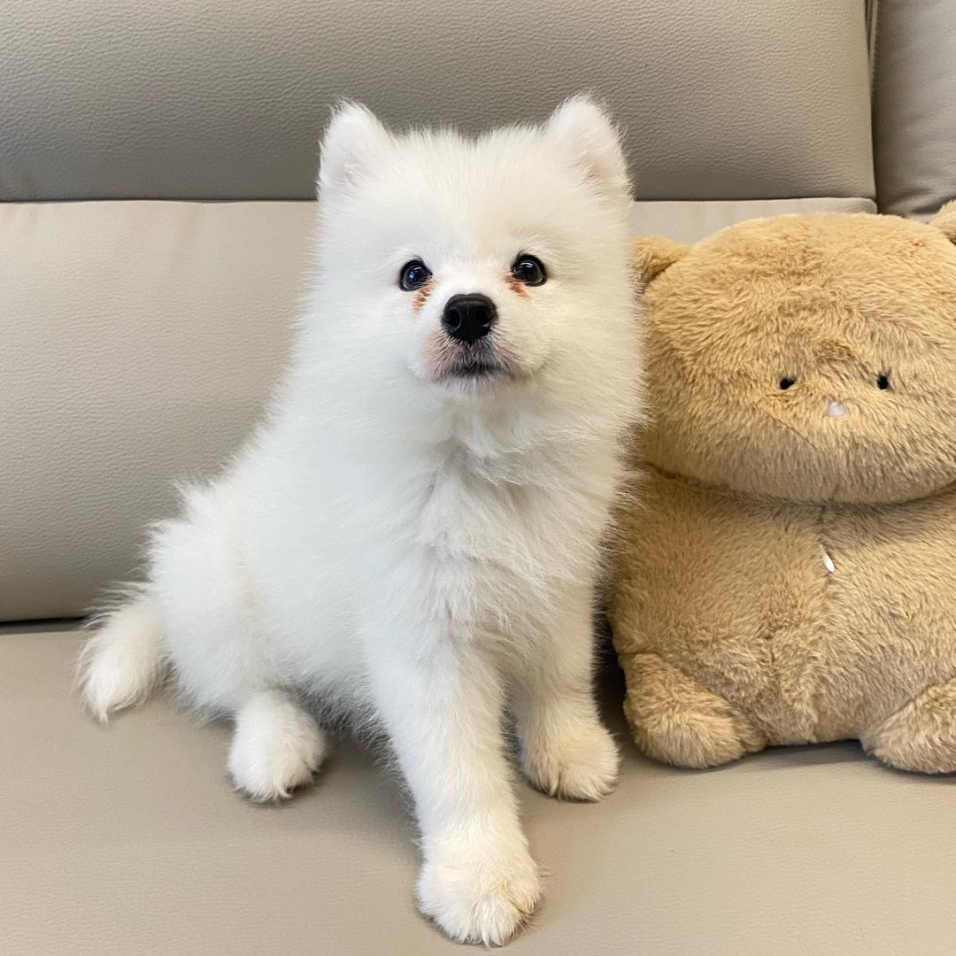 @七月成长记🥩