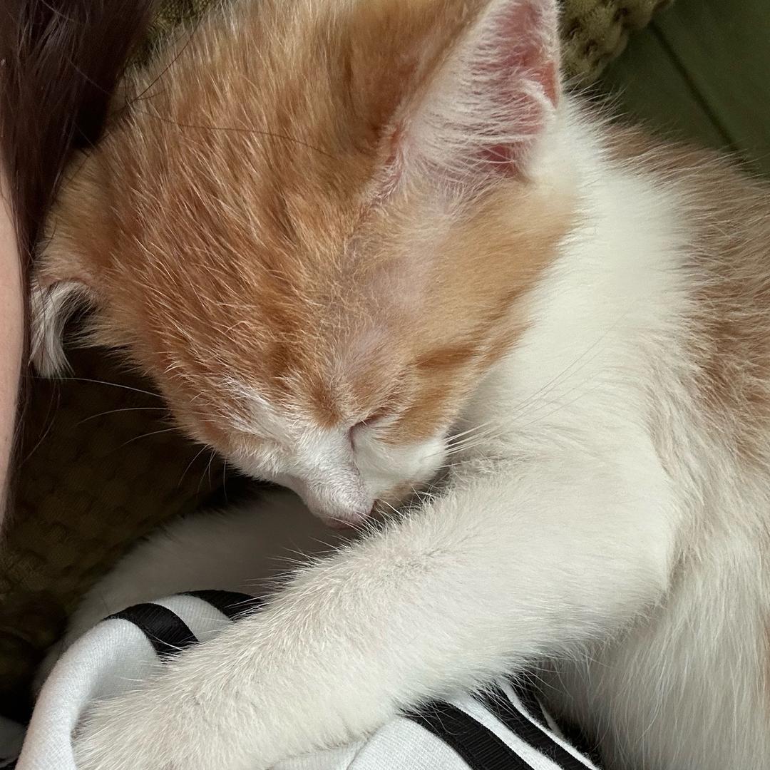 晴天曉曉🐑⋆͛ᵞᵐ