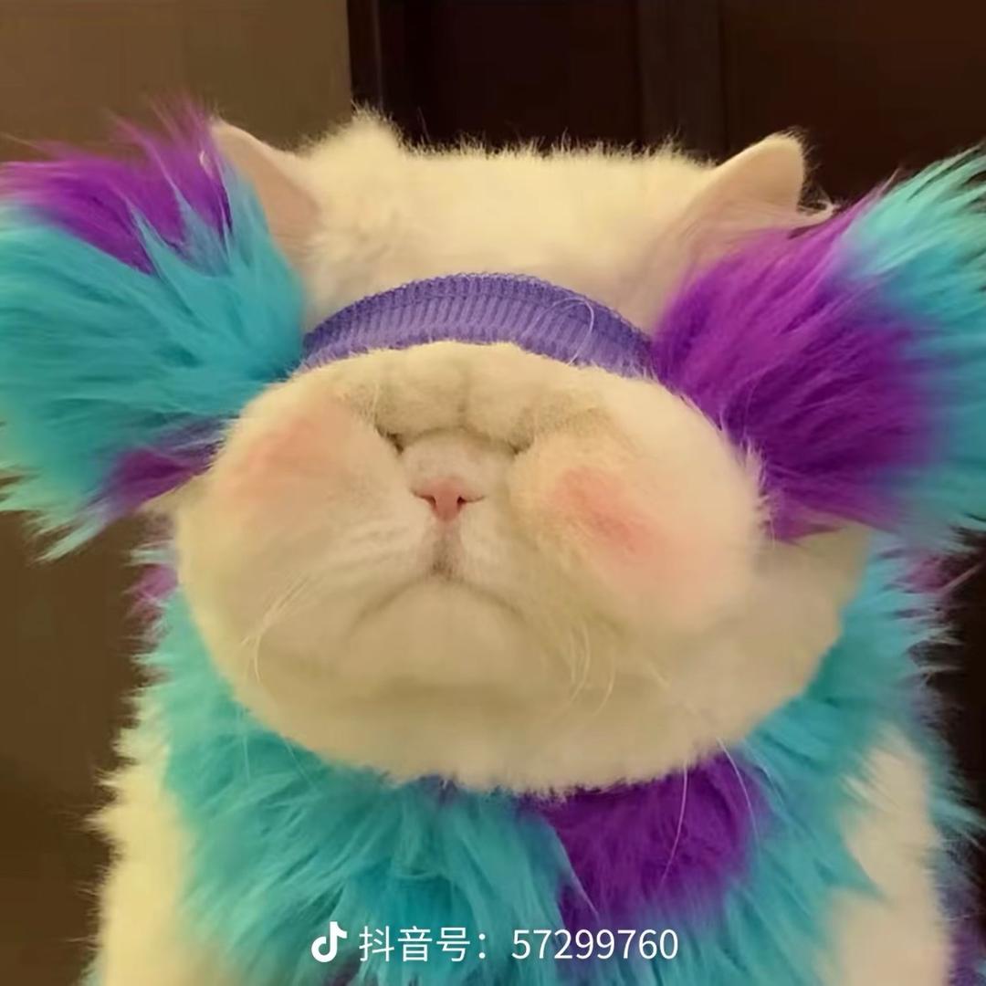 一鹿有你严选