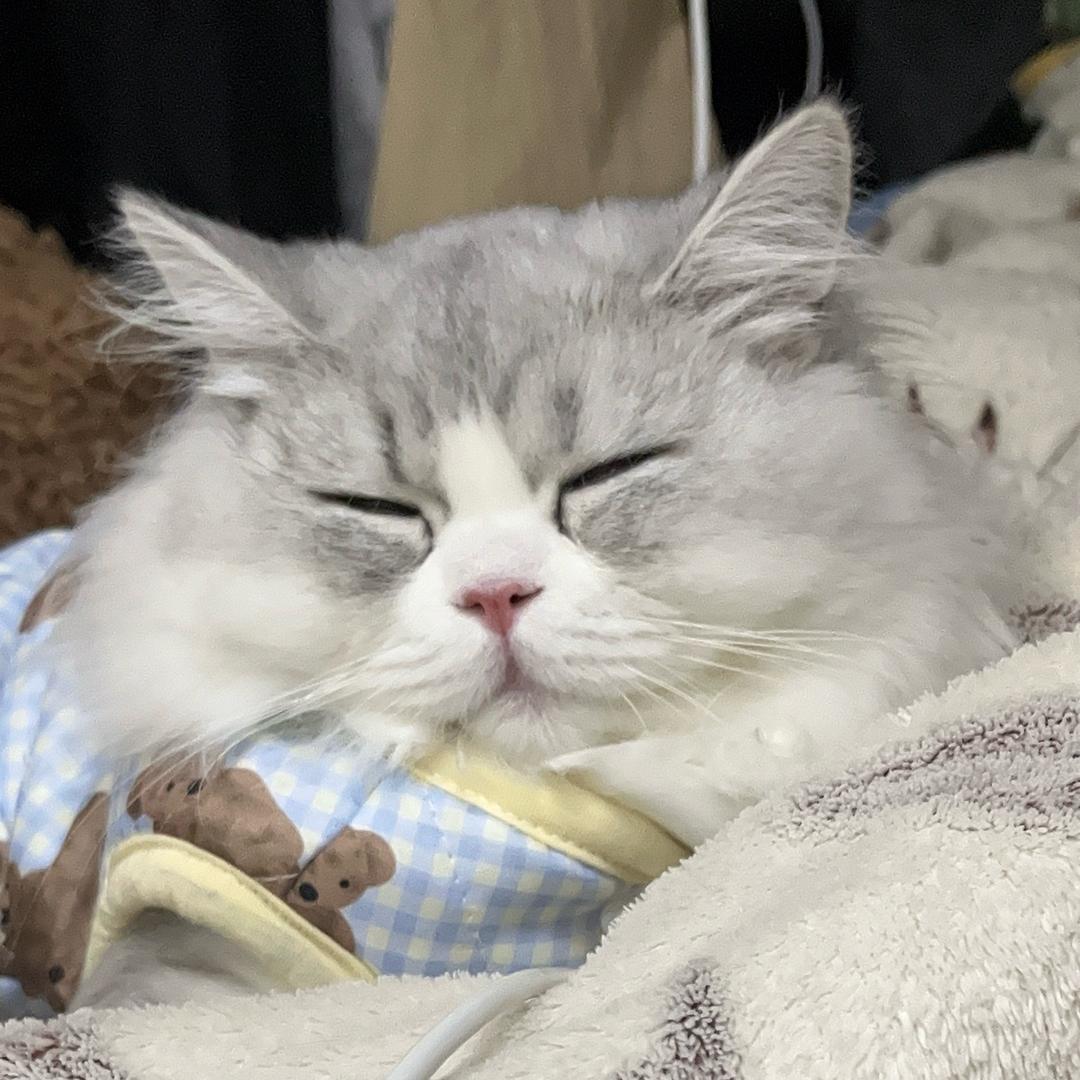 今晚不熬夜.