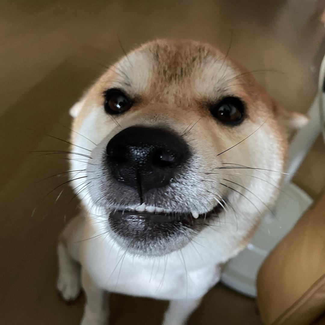 恭喜发财地产啊汤