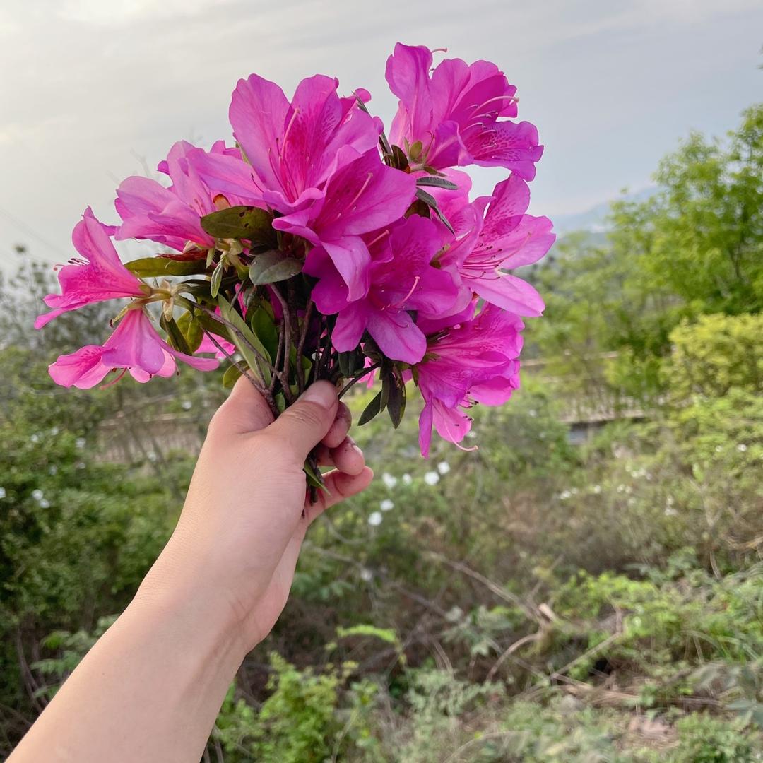 在赣州做交通的小Q Q