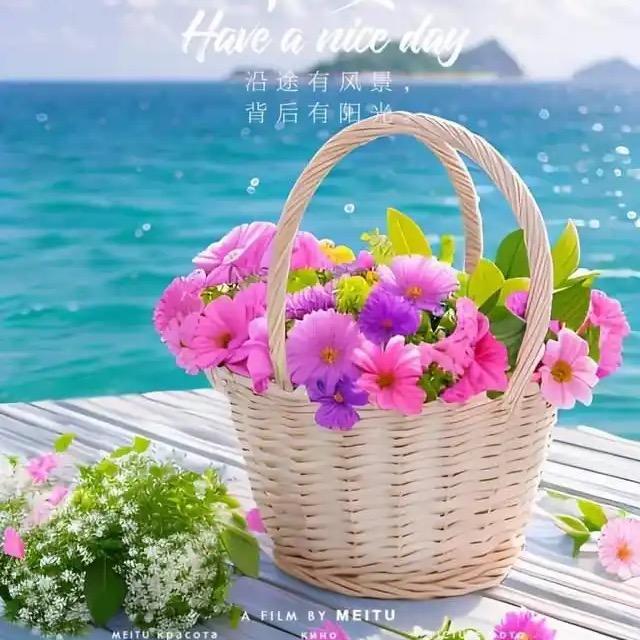 汤姆猫