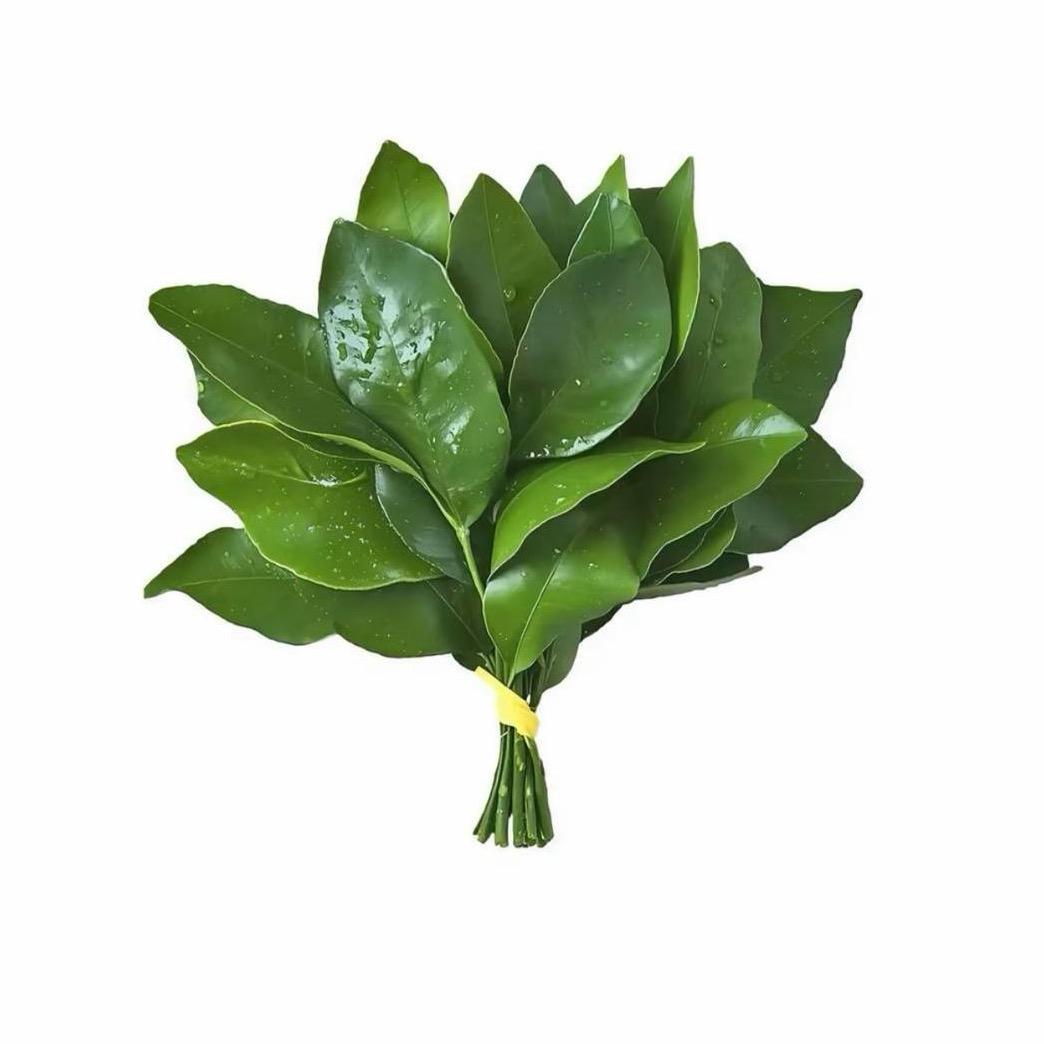 开心成长日记📔