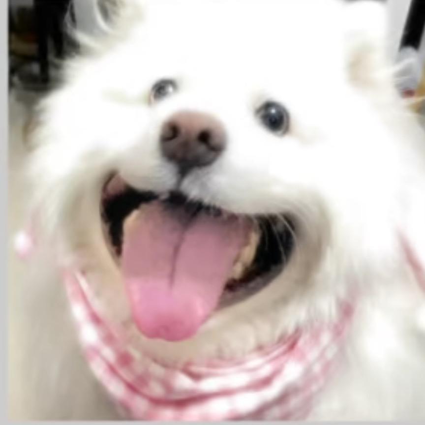痣.