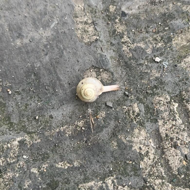 愚人码头
