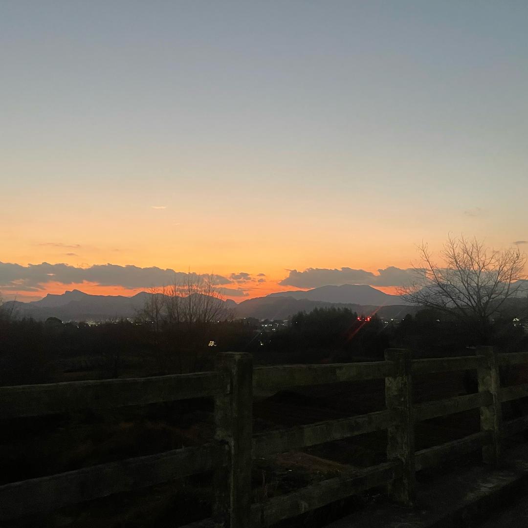 90后重生之在武夷山开微挖