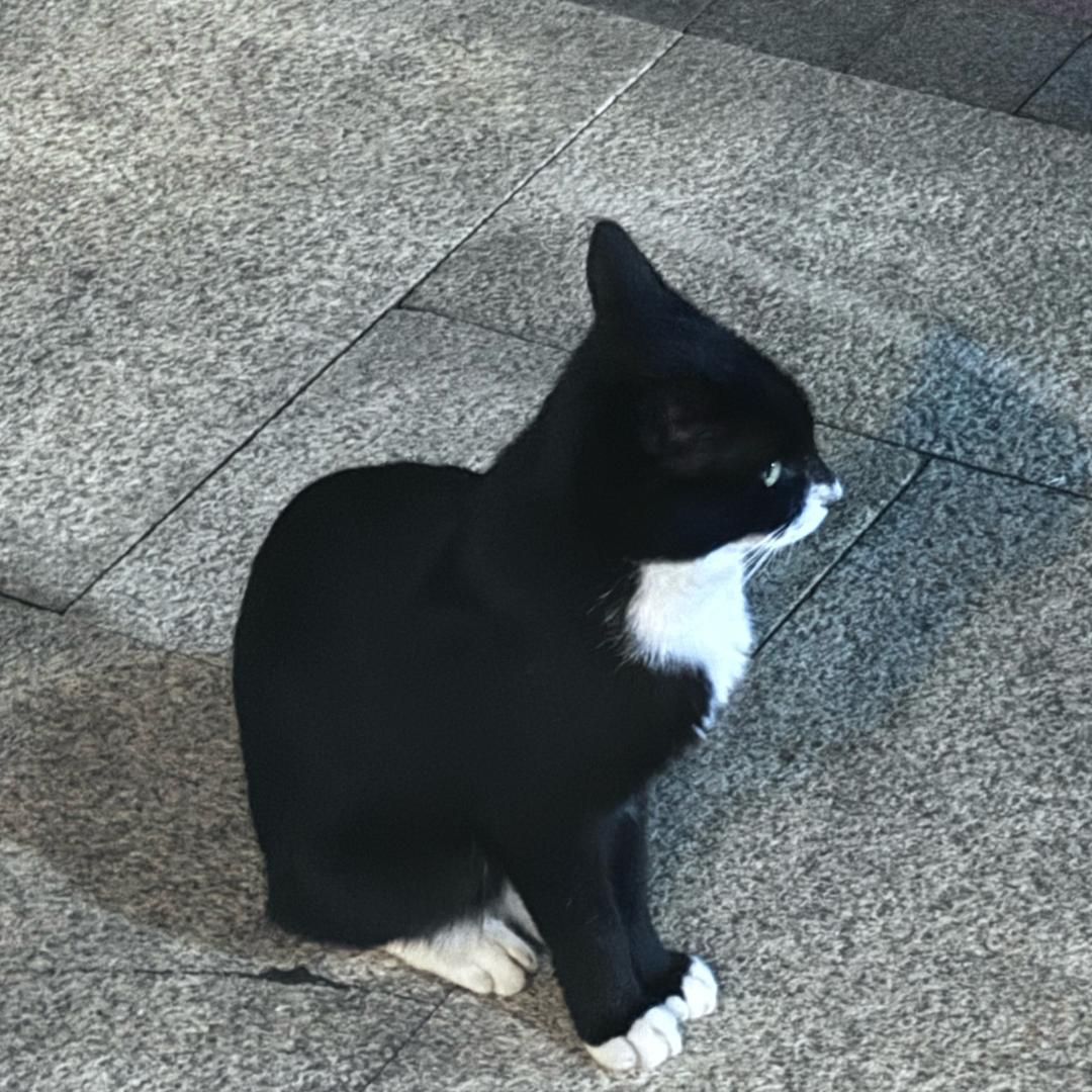 励志成为女rapper