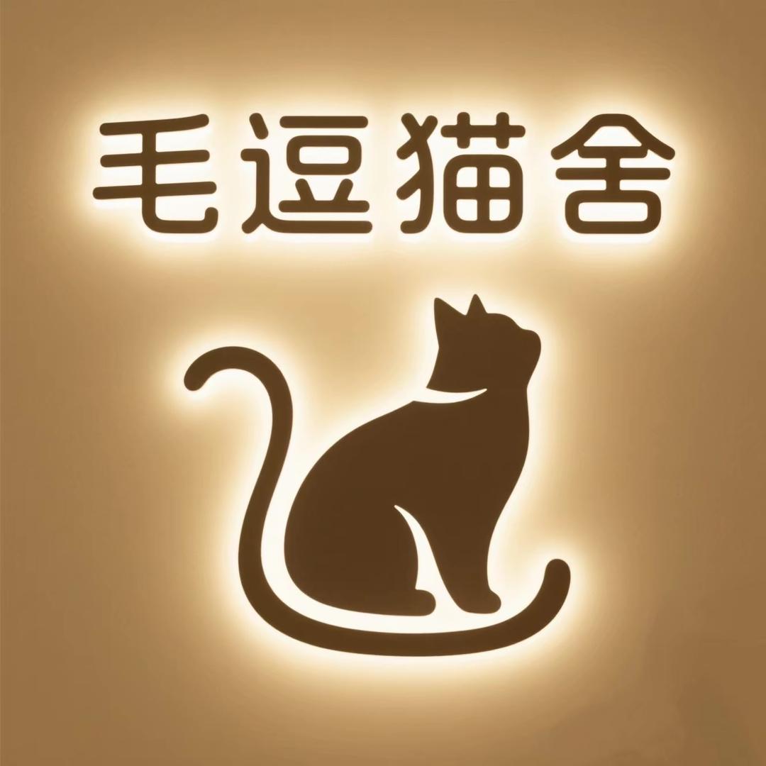 郑州毛逗猫舍-精品猫
