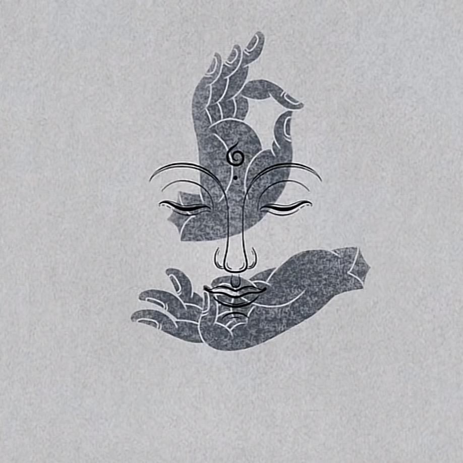 王 琪  .