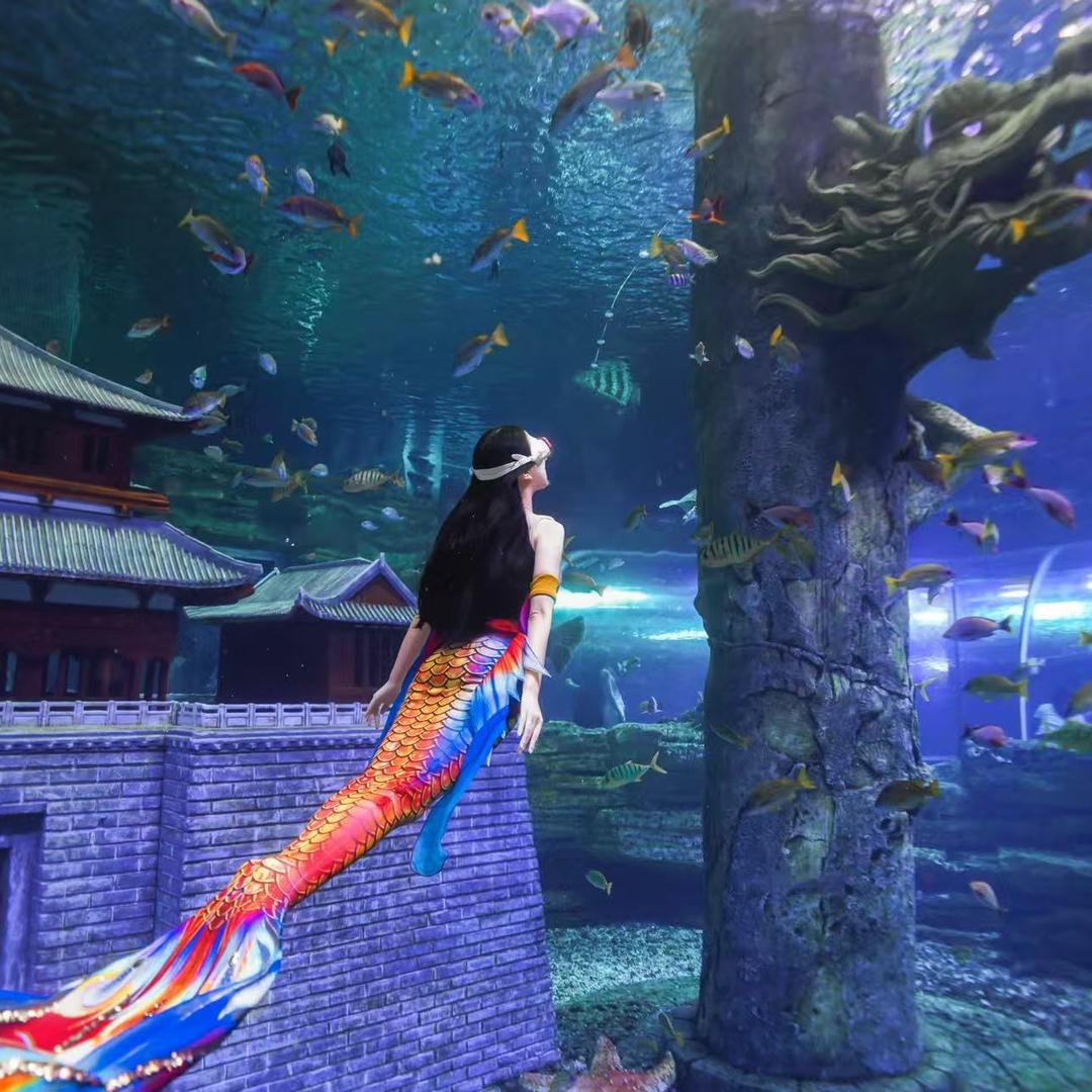 湖北省浪迹鼎力潜水俱乐部有限公司官方号