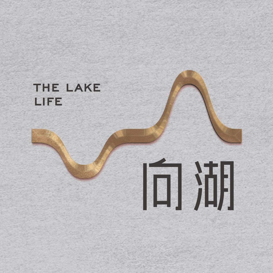 武汉四代宅-联发向湖
