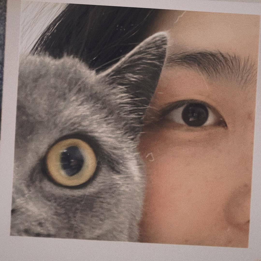 申园英