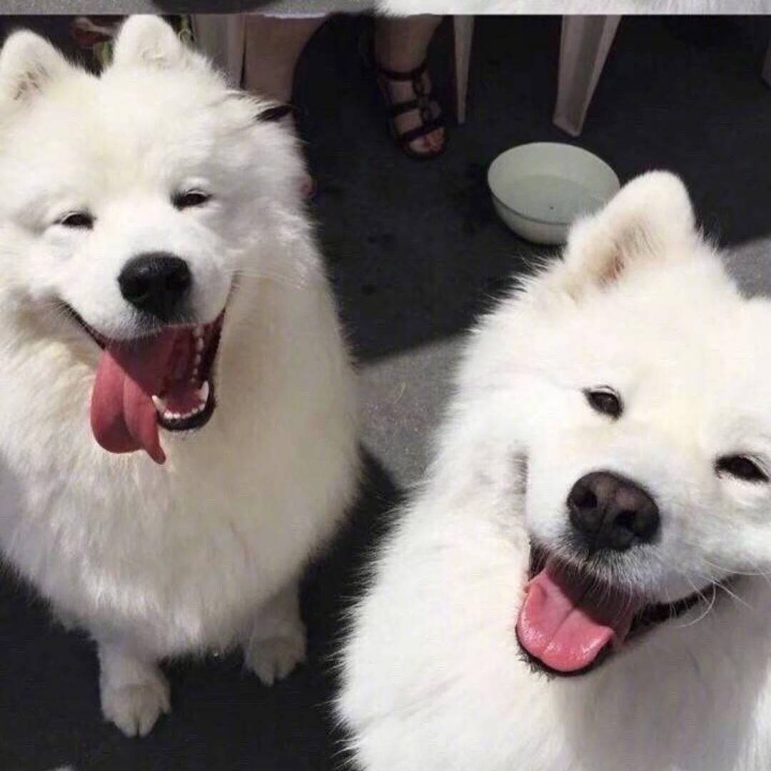 王丑丑