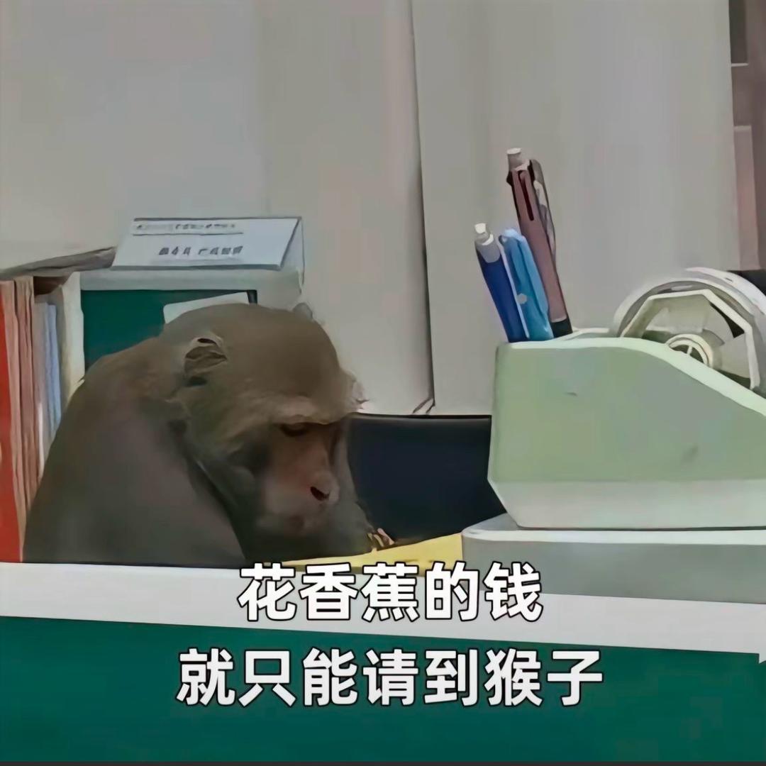 马喽