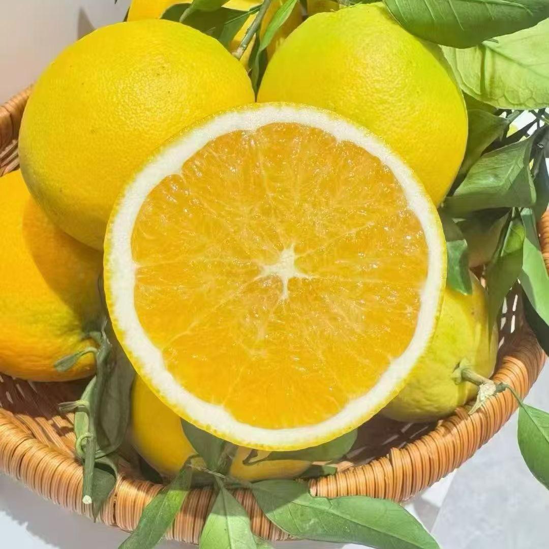 正宗赣南脐橙🍊
