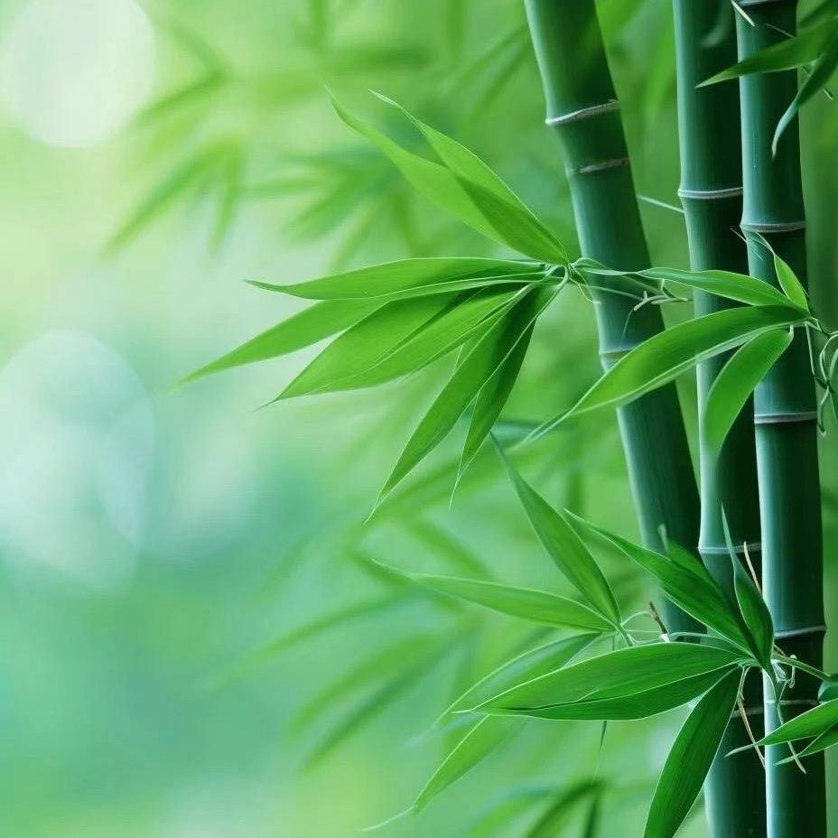 🎋