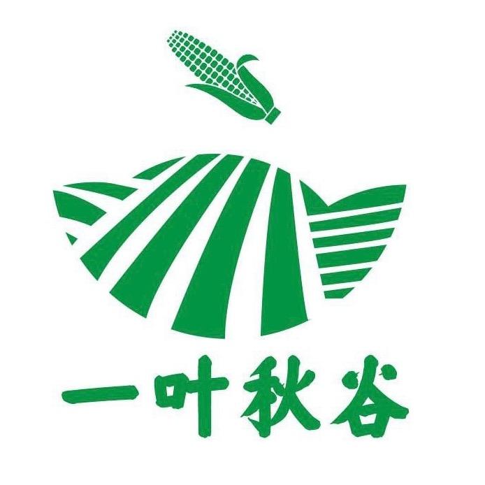 一叶秋谷