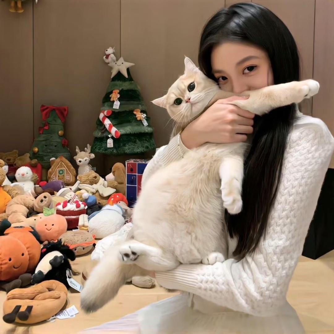 小洋芋儿