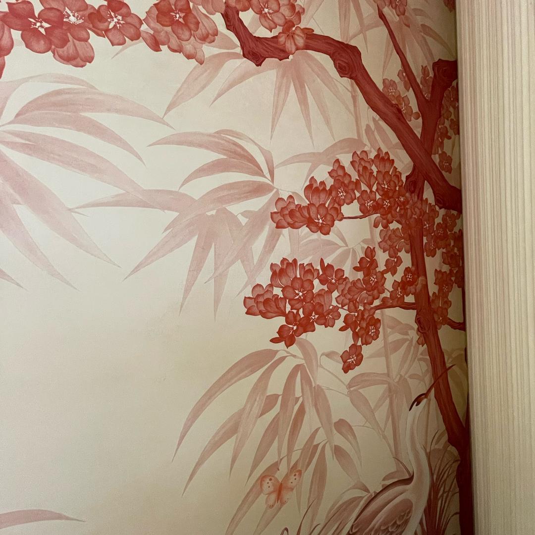 天秤座🎀圆圆