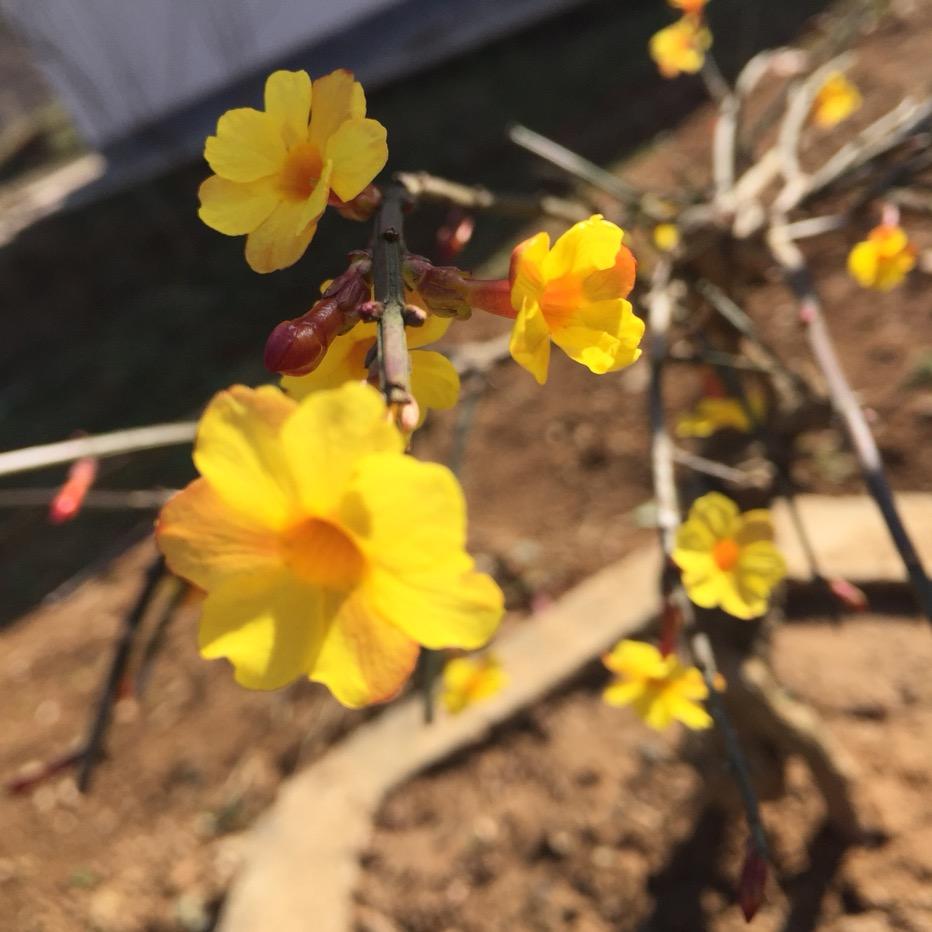 叶城县安琪不动产