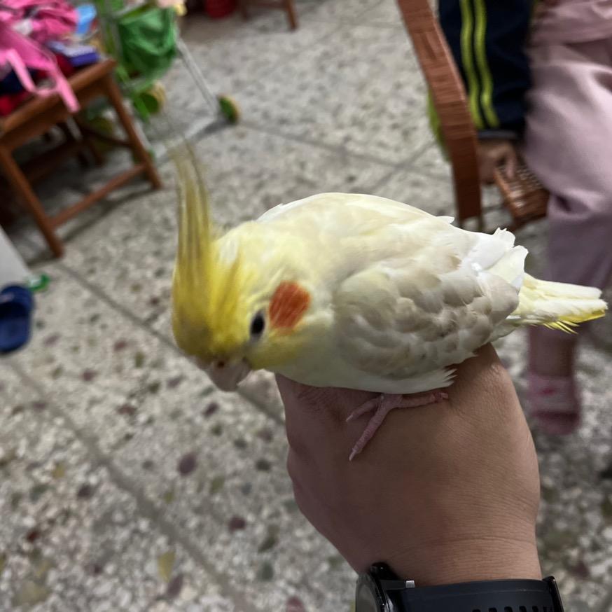 吃喝玩乐一起冲