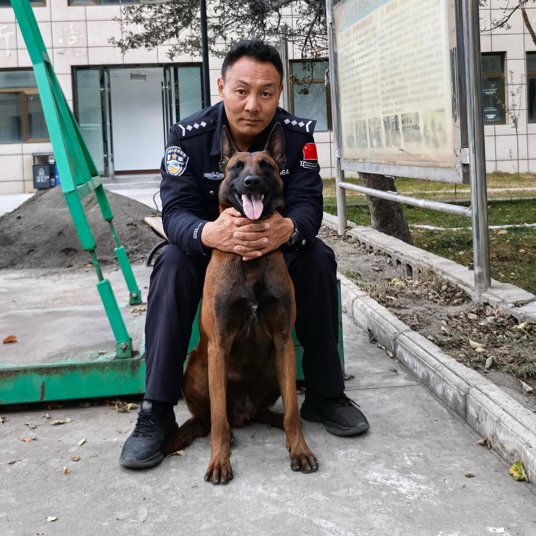 不认命就拼命