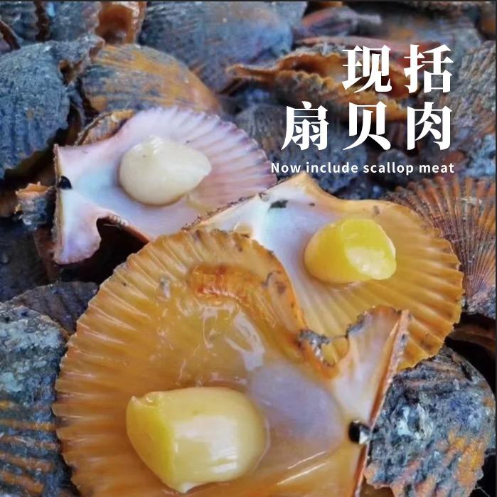尚浦甄鲜姐妹海鲜