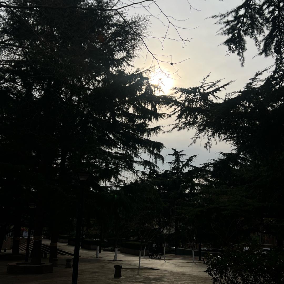 小7
