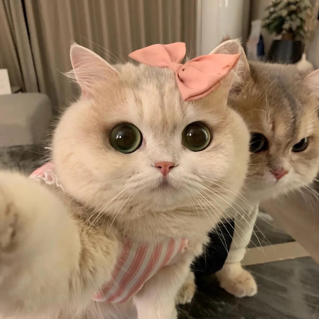 周周o尼🧸