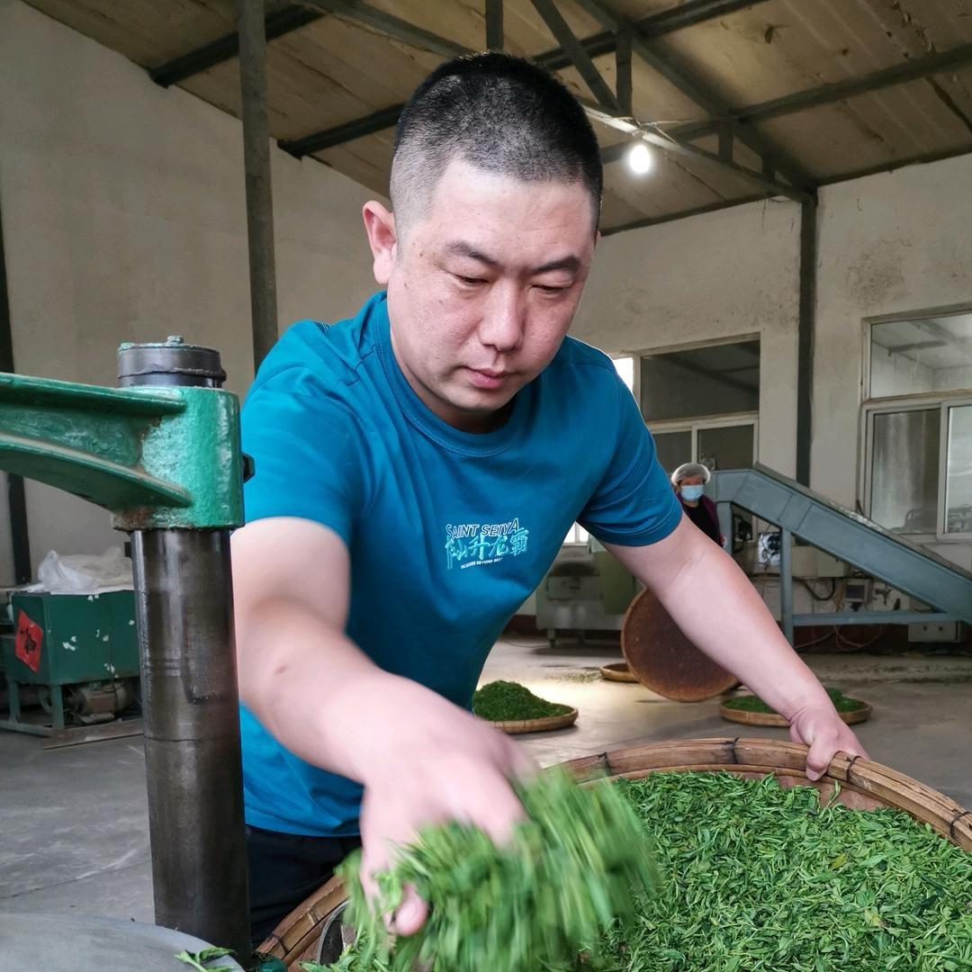 日照海河春茶叶合作社