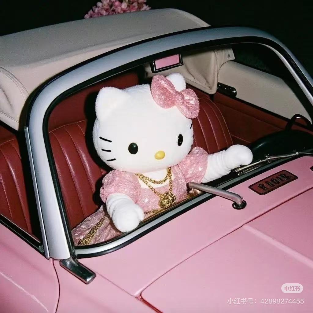 不靠谱的赵小姐🎀