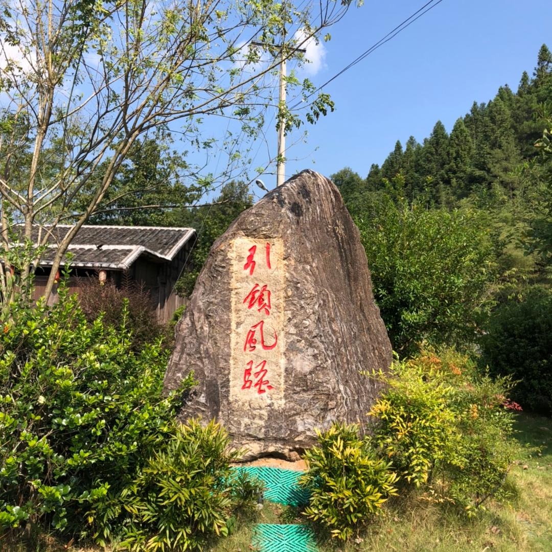 雄鹰🦅