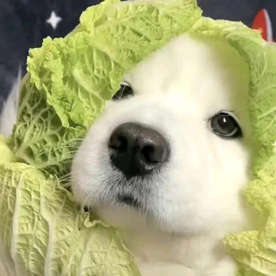 時不待我’❀