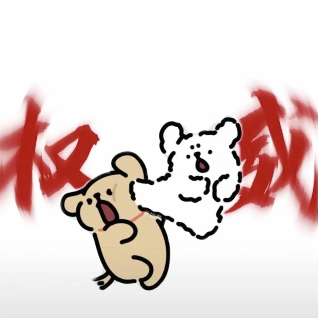 华强北优选数码