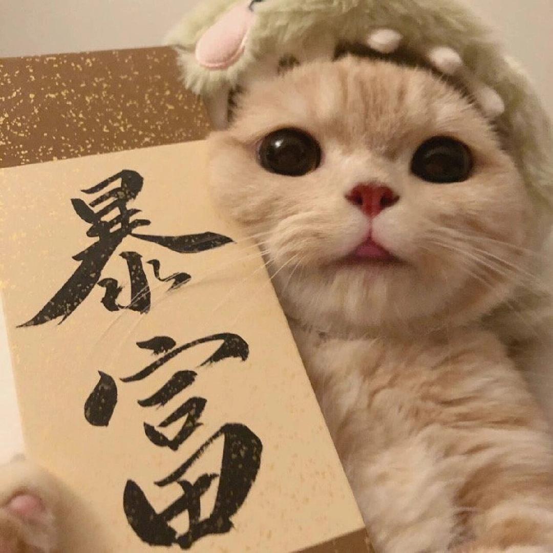 小Q宝宝呀