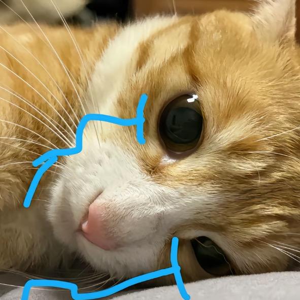 你说我是你的茉莉