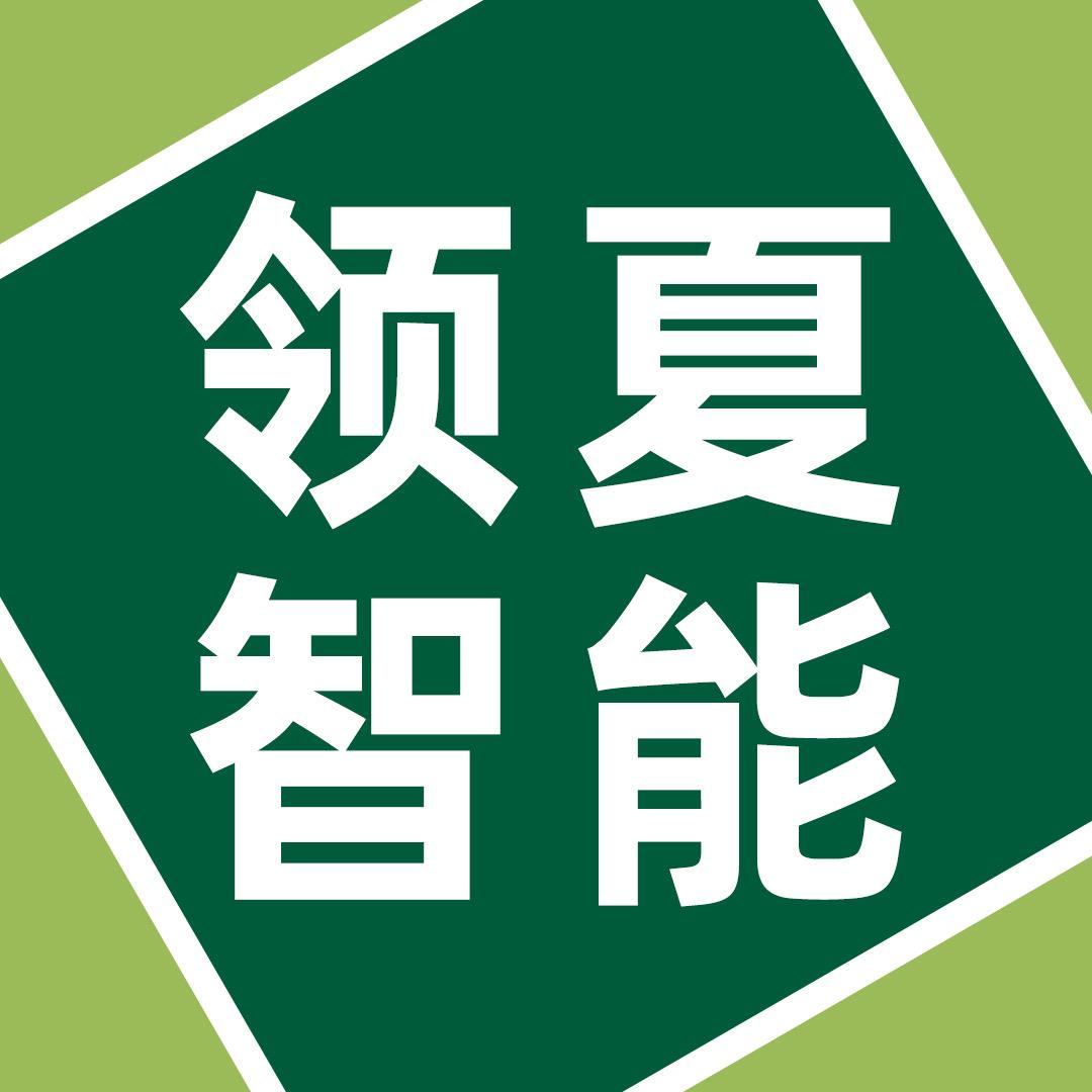 产品研发与设计【领夏智能科技】