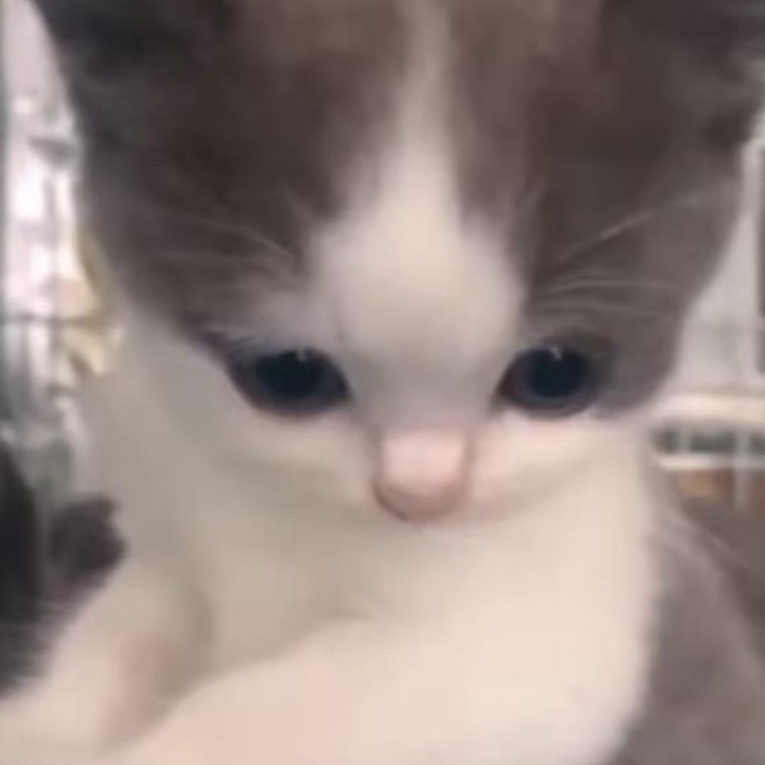 用户12889698745754361
