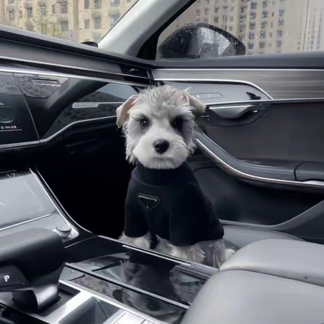 威海慕本酒吧总监小yu