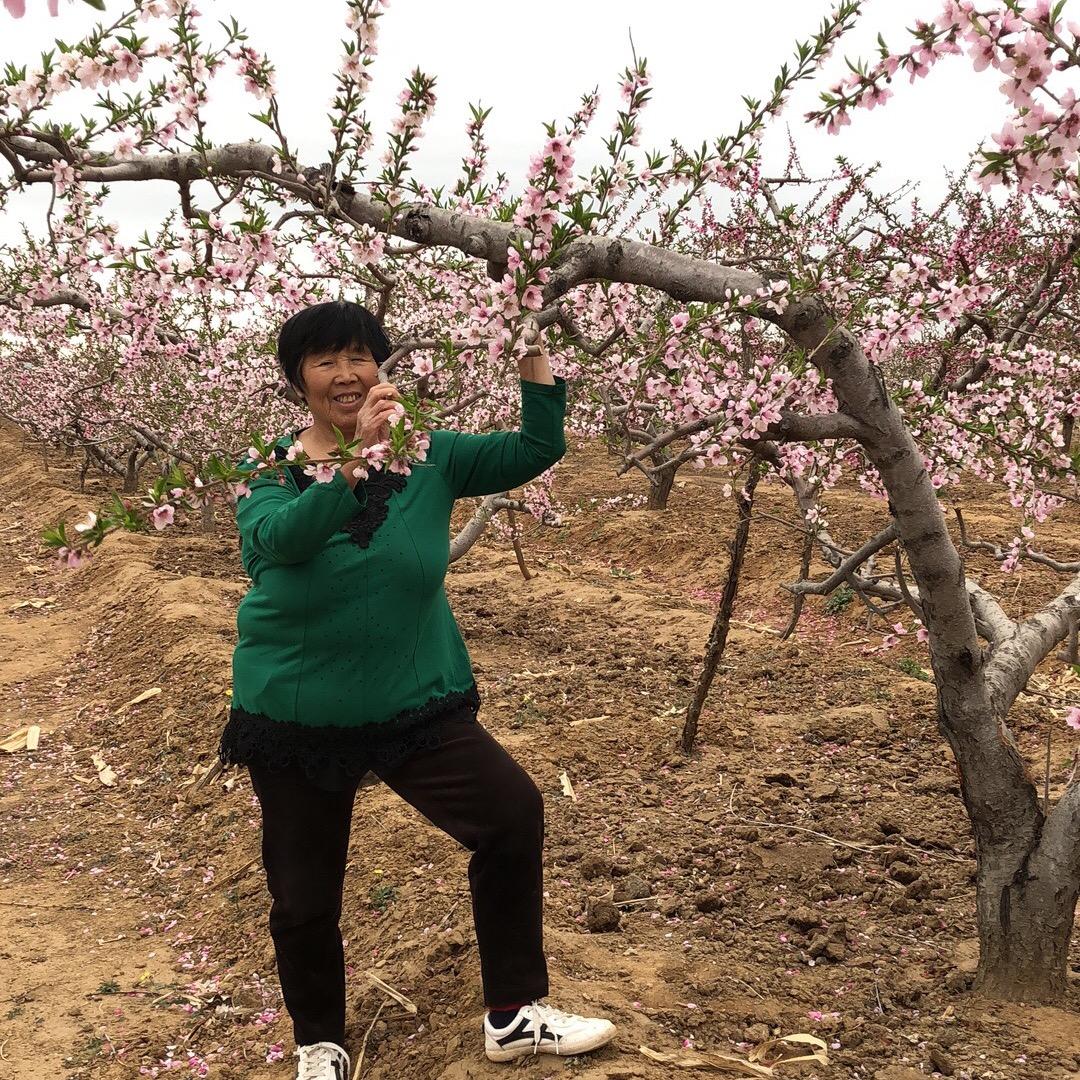北方姐
